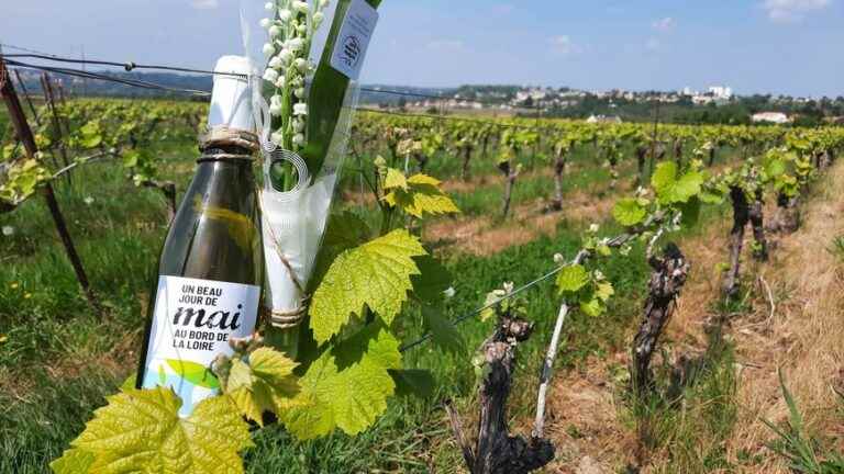 For May 1st, in the Nantes region, it’s sprigs of lily of the valley AND muscadet!