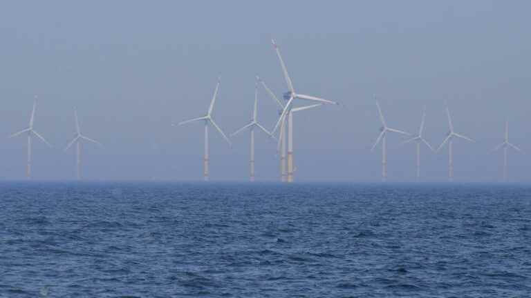 Four EU countries pledge to increase their wind power in the North Sea tenfold by 2050 to no longer depend on Russian hydrocarbons