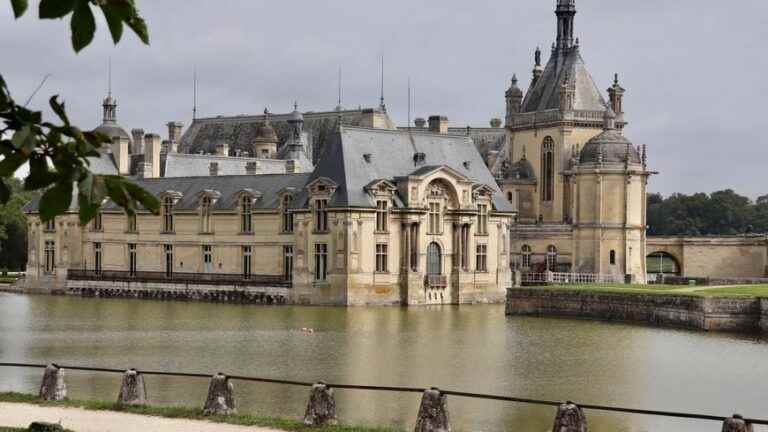 France Bleu Picardie takes you to the plant days of Chantilly