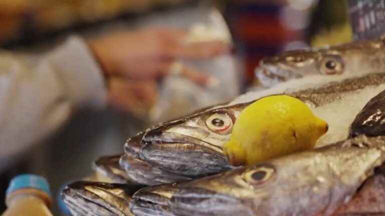 France imports two-thirds of its fish