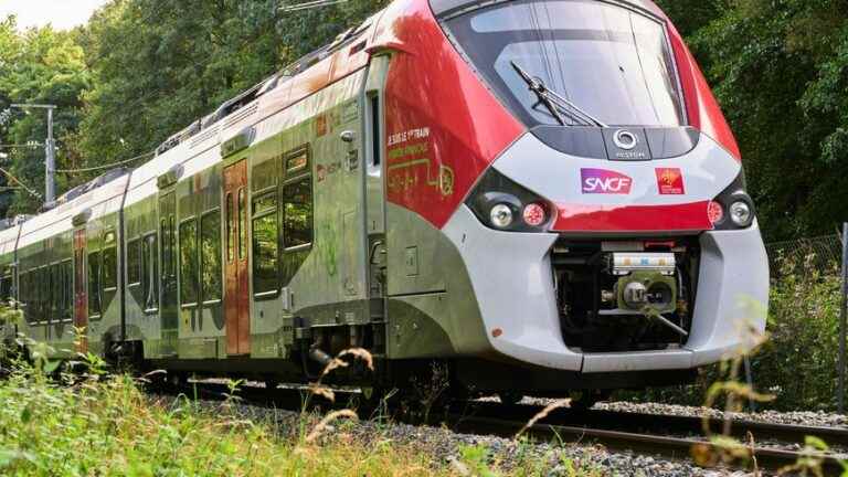 France’s first hybrid regional train arrives at Toulouse Matabiau station this Saturday