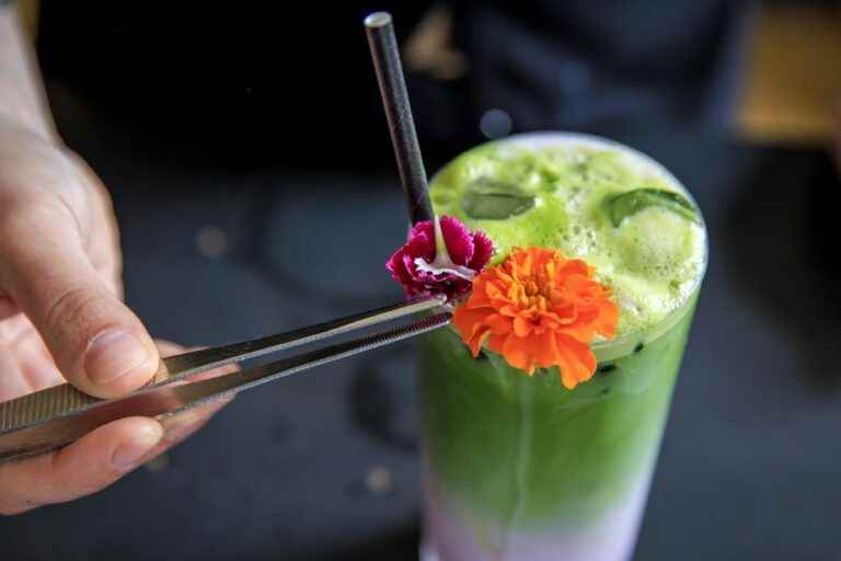 Freshness under the sun |  Three Matcha Frozen Delights