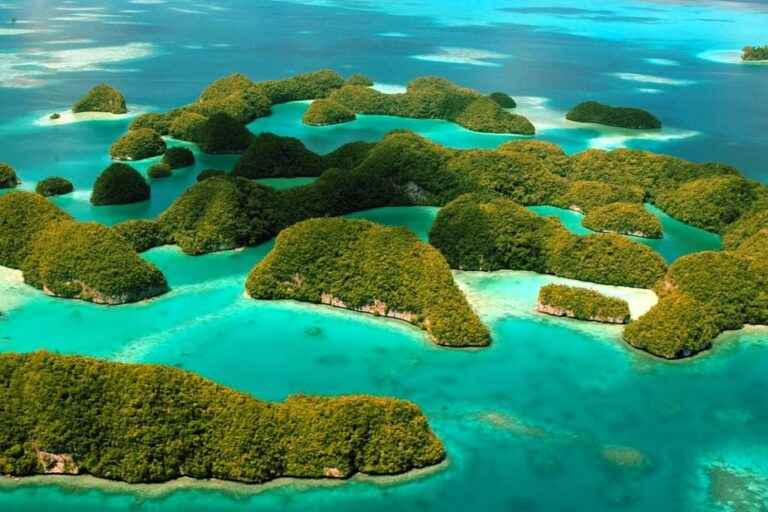 Green actions worth gold in Palau