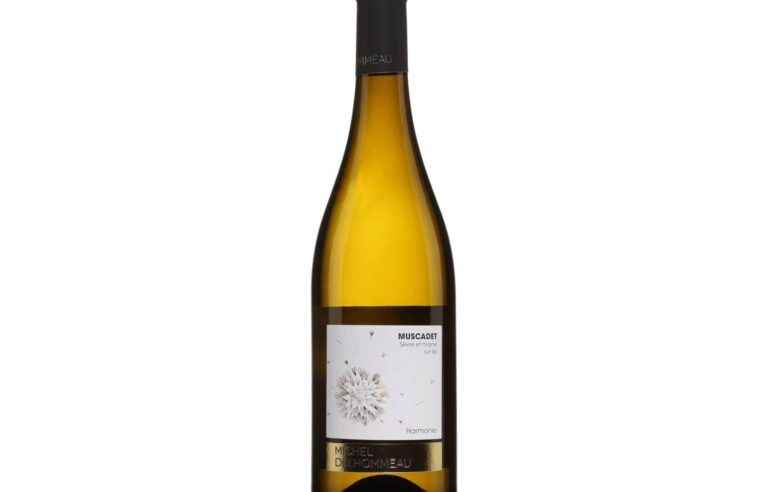 Harmony 2020, Michel Delhommeau, Muscadet Sèvre et Maine sur lie, Loire, France