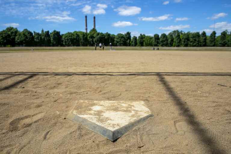 Have baseball diamonds become dog parks?