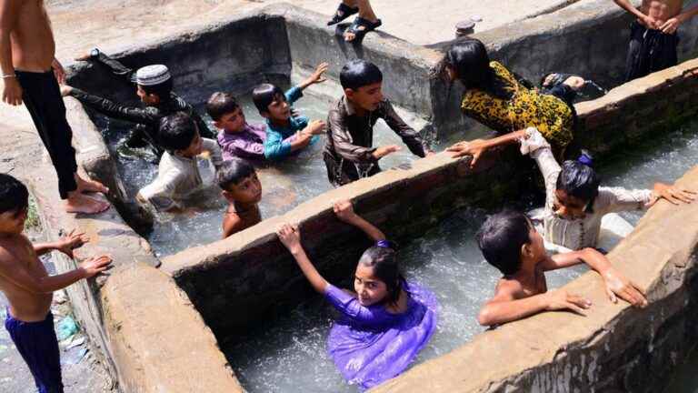 IN IMAGES, IN PICTURES.  Water shortage, power cuts, birds fallen from the sky… India and Pakistan crushed by an extreme heat wave