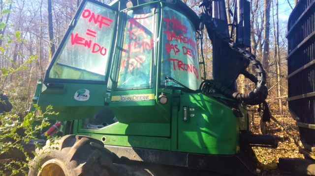 Ile-de-France foresters suffer “daily” violence, the ONF sounds the alarm