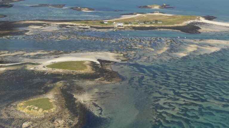 In Finistère, a whale runs aground on an island of Glénan