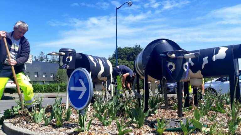 In Fouesnant, we anticipate the drought to preserve the plants and flowers of the town