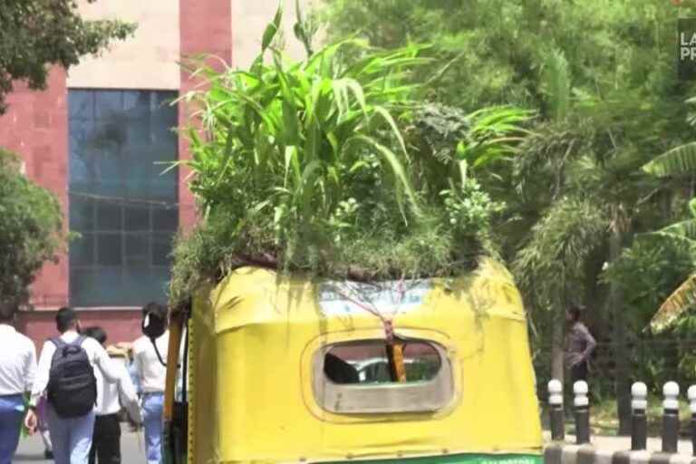 India |  Plants on the roof of a tuk-tuk to protect against the heat