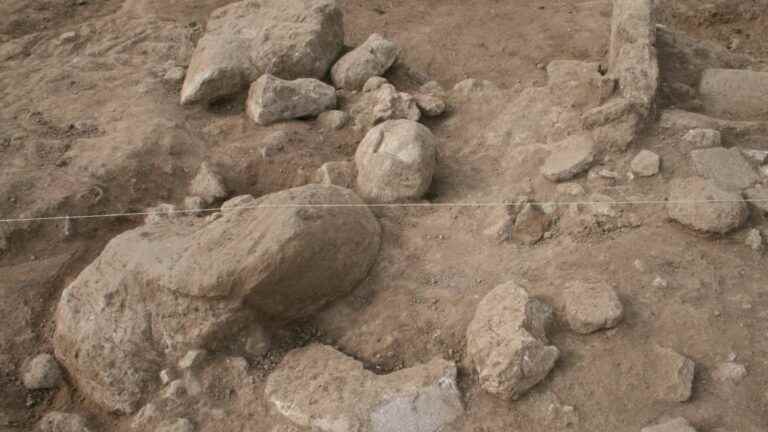 Iron Age statues of wrestlers discovered in Sardinia