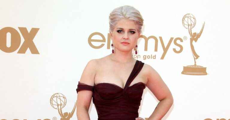 Kelly Osbourne pregnant with her first child: big announcement with ultrasound