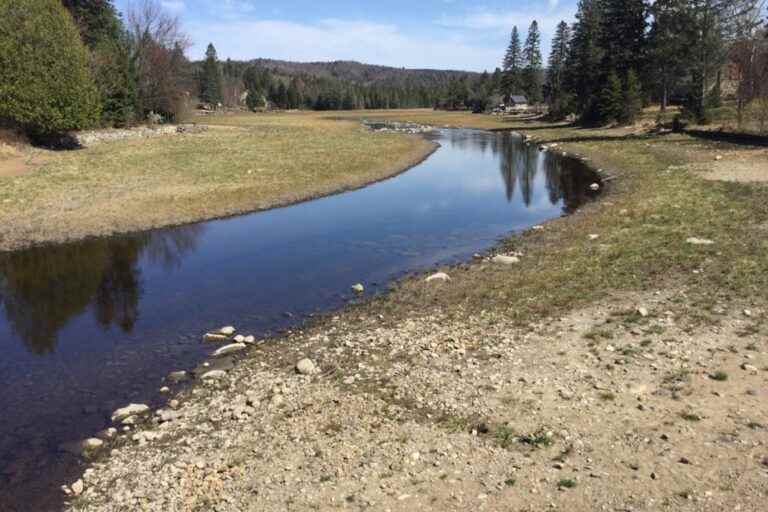 Lac la Sapinière in Val-David |  Little hope for this summer