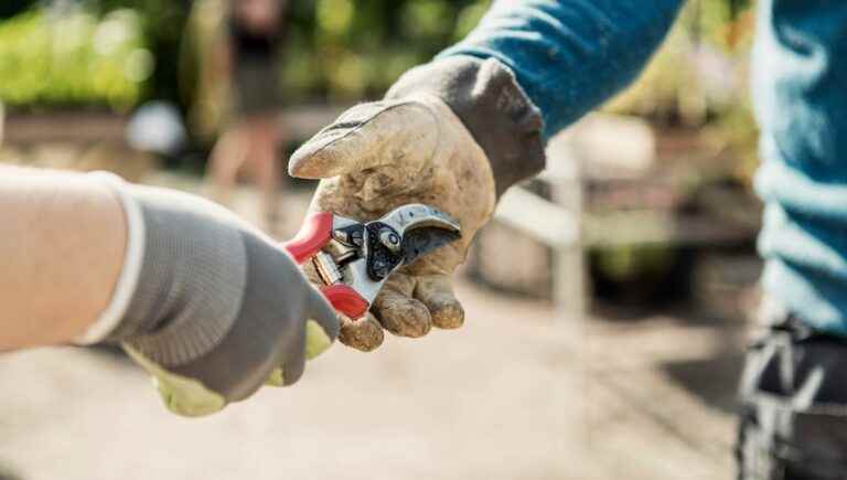 Learn how to water your garden