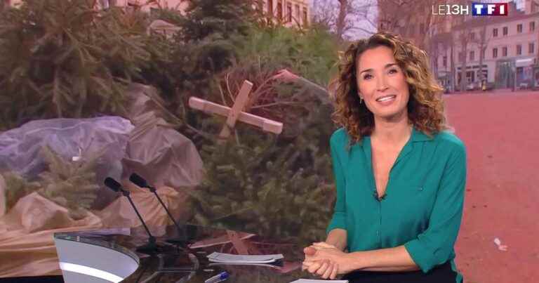 Marie-Sophie Lacarrau takes over the 1 p.m. news from TF1!  The date of his return revealed