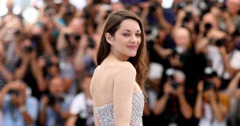 Marion Cotillard sparkling in a strapless dress or chic all in purple, festival of looks in Cannes!