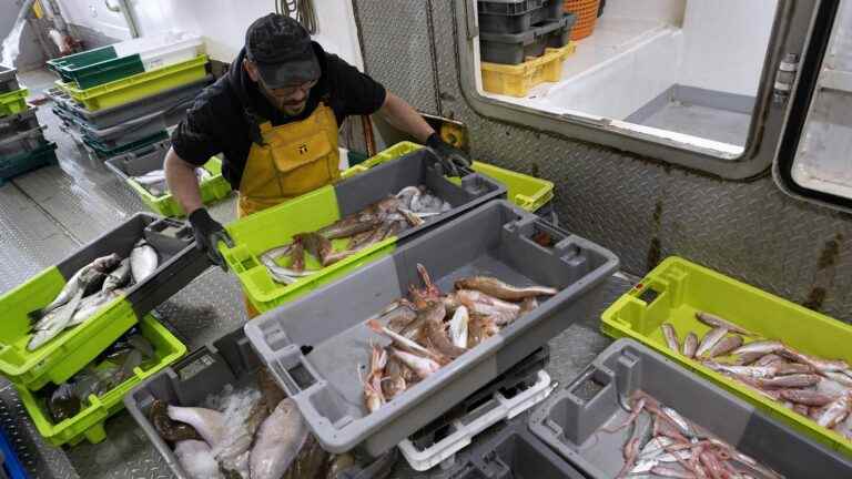 May 2, overshoot day for fish caught on our coasts