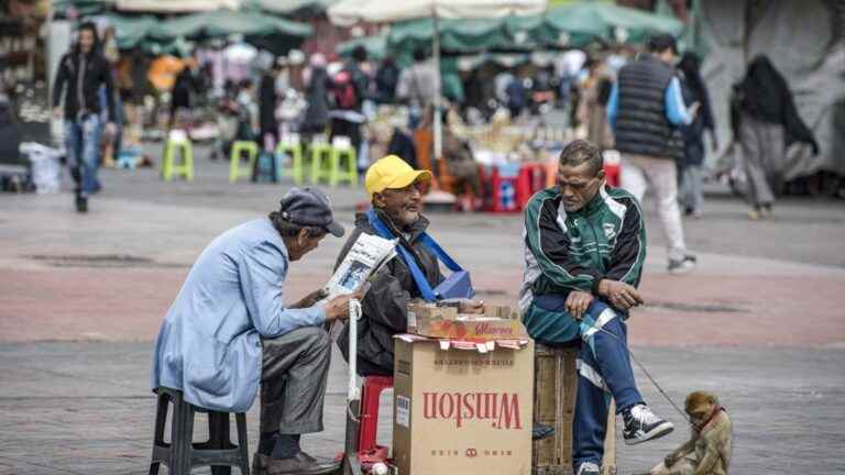 Monkey pox: Marrakech has its monkeys