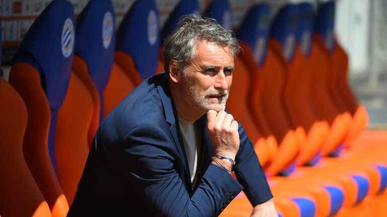 Montpellier deprived of Savanier, Ferri and Omlin to face FC Metz