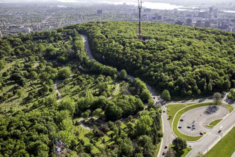 Mount Royal Park |  The “enormous” legacy of an American “visionary”