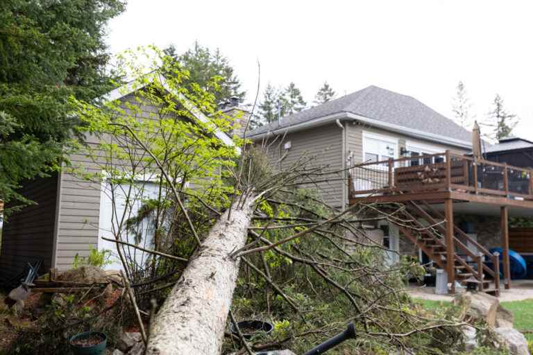 New watches for tornadoes and severe thunderstorms in Quebec