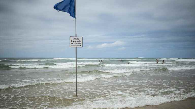 No more blue and triangular flags on French beaches, what you need to know about the new bathing signage