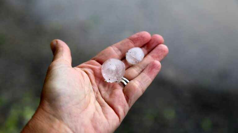 Nord-Sarthe under the storm this Friday