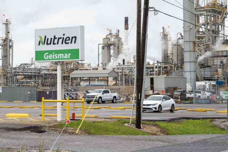 Nutrien makes a profit and revises its forecasts upwards