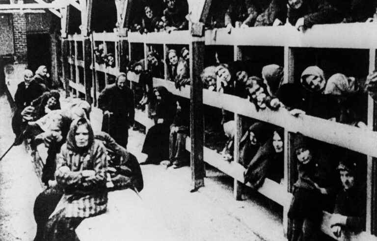 [Opinion] Holocaust denial is a racist crime