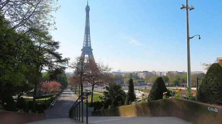 Paris City Hall agrees not to cut down any trees at the foot of the Eiffel Tower