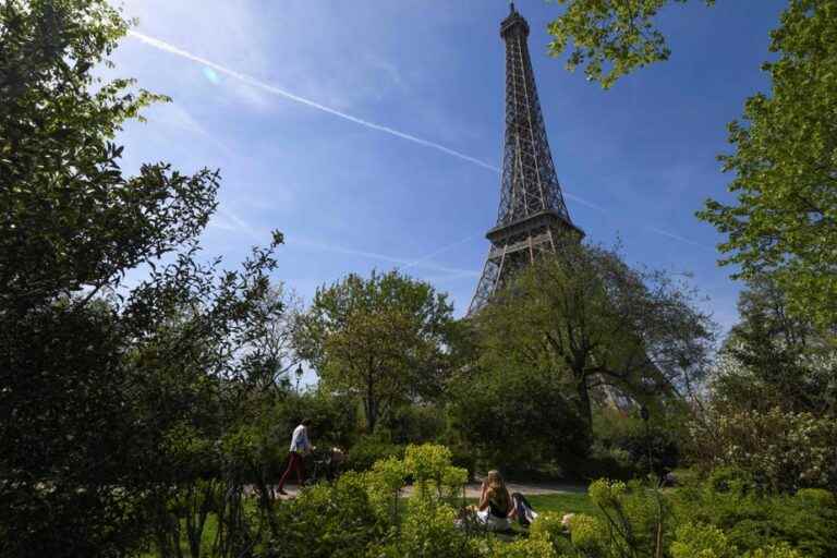 Paris |  The town hall undertakes not to cut down trees at the foot of the Eiffel Tower