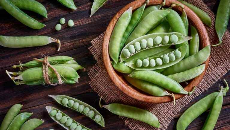 Peas seasoned by the chef of “L’Auberge de la Grand Croix” in Bard