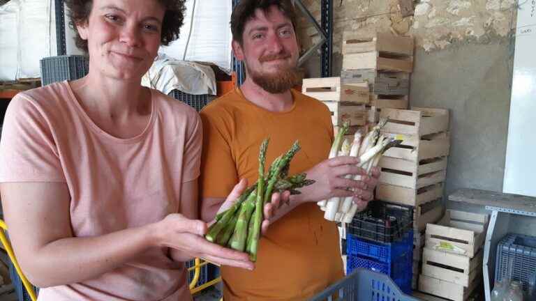 Pellevoisin asparagus indirect victims of inflation