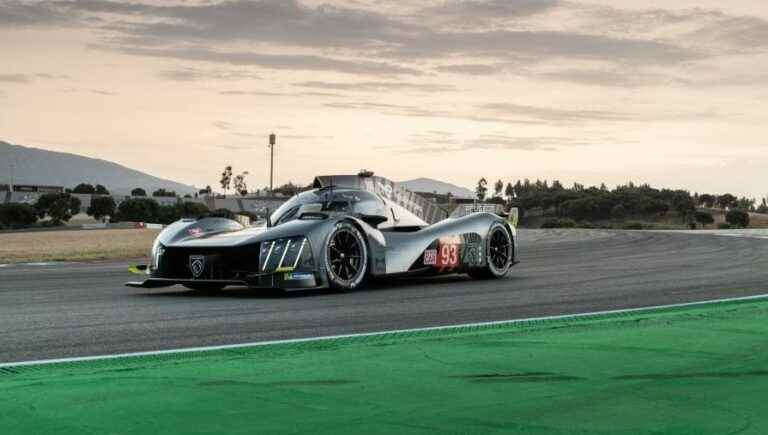 Peugeot commits to endurance