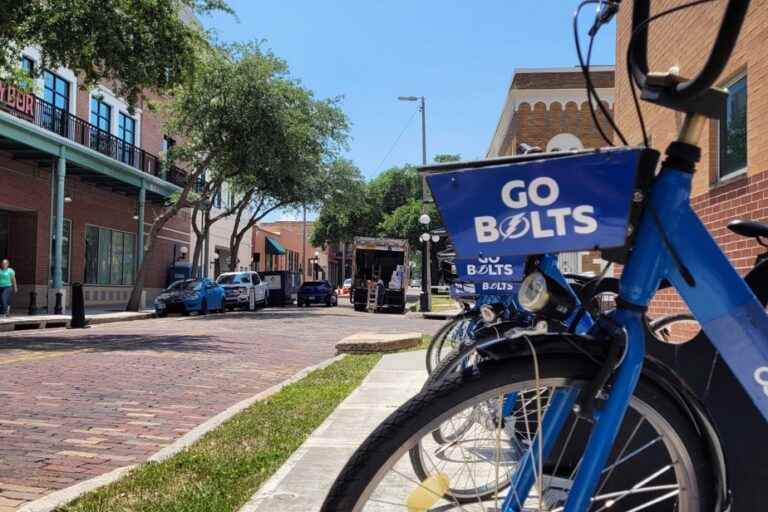 Postcard |  The hushed passion of Tampa fans