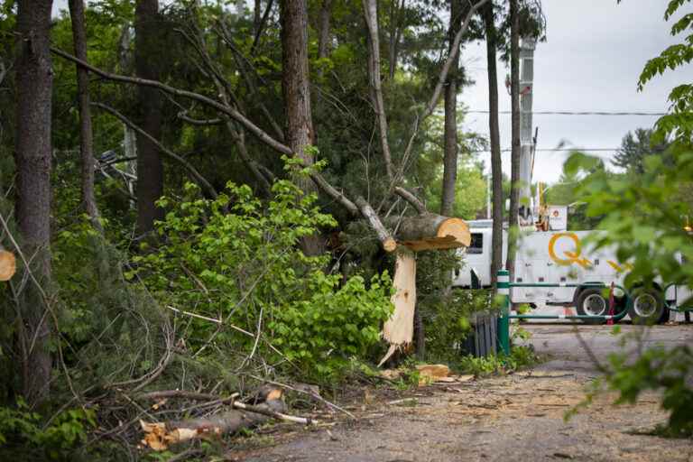 Power Outages |  Quebec grants financial assistance to social assistance recipients