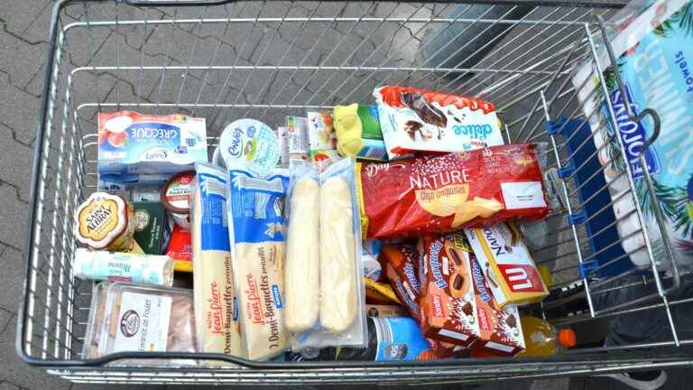 REPORT.  In the Cher, inflation weighs down the carts: “For the aperitif, we buy sub-brands”