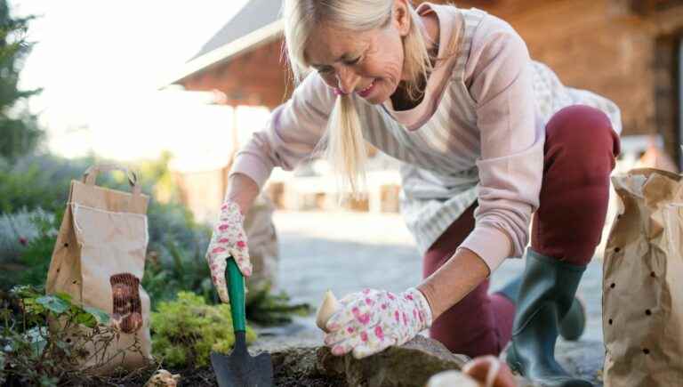 Repot bulb plants