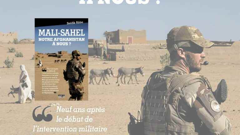 Resolving the crisis in the Sahel, “it is a historic duty for the African Union to take charge of this issue”, according to Seidik Abba