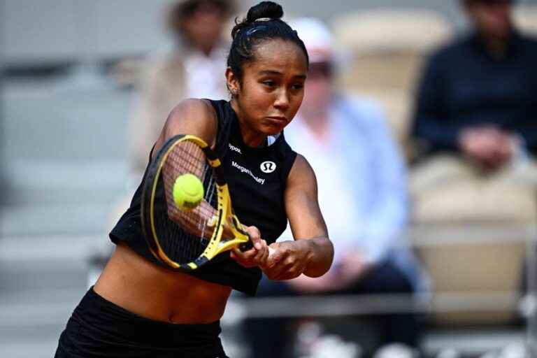 Roland Garros |  Fernandez’s fairy tale curbed by Cinderella