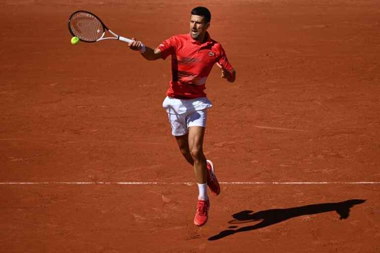 Roland Garros |  Quick wins for Djokovic and Nadal