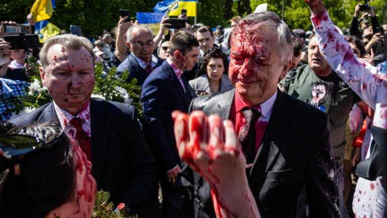 Russian ambassador to Poland drenched in fake blood