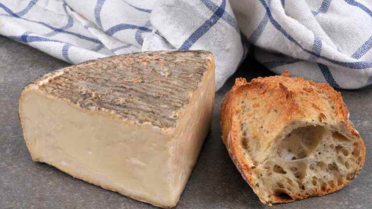 Savoyard raclette, tomme and emmental want to obtain PDO