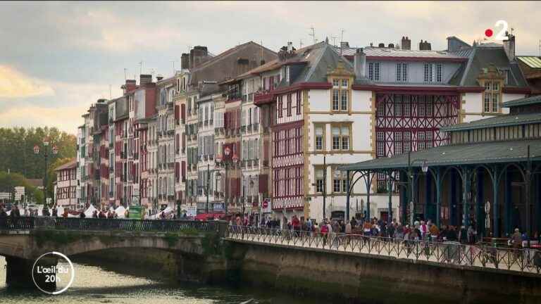 Seasonal rentals in the Basque Country: tips from owners