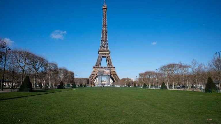 Several dozen people gathered in Paris to protect the trees at the foot of the Eiffel Tower