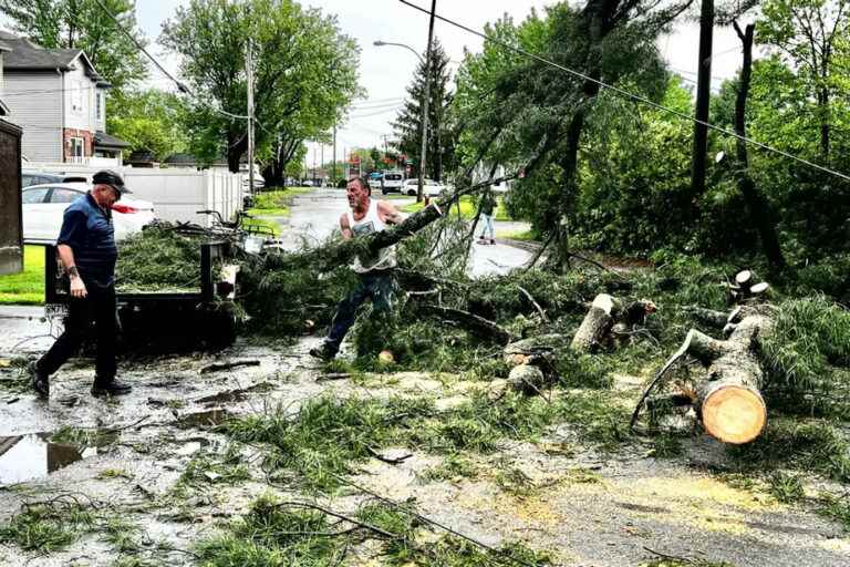 Severe thunderstorm alert in Quebec |  More than 500,000 customers without electricity