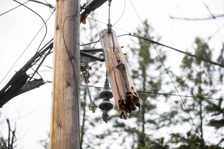 More than 220,000 homes without electricity |  Hydro-Québec aims to reconnect eight out of ten Quebecers on Monday