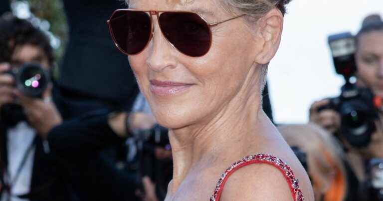 Sharon Stone cast in a slit leather dress, the actress sets the red carpet ablaze!