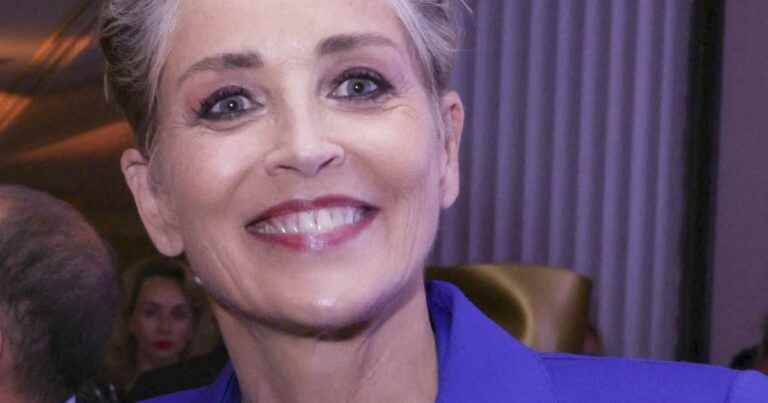 Sharon Stone, her “diva whim”: Criminal offences, delay… An auction turns into a nightmare!