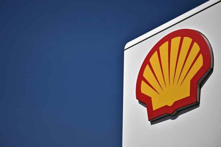 Shell consultant quits, accuses her of ‘extreme damage’ to the environment